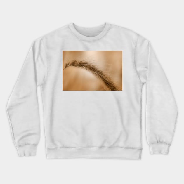 Bending in the Wind Crewneck Sweatshirt by bgaynor